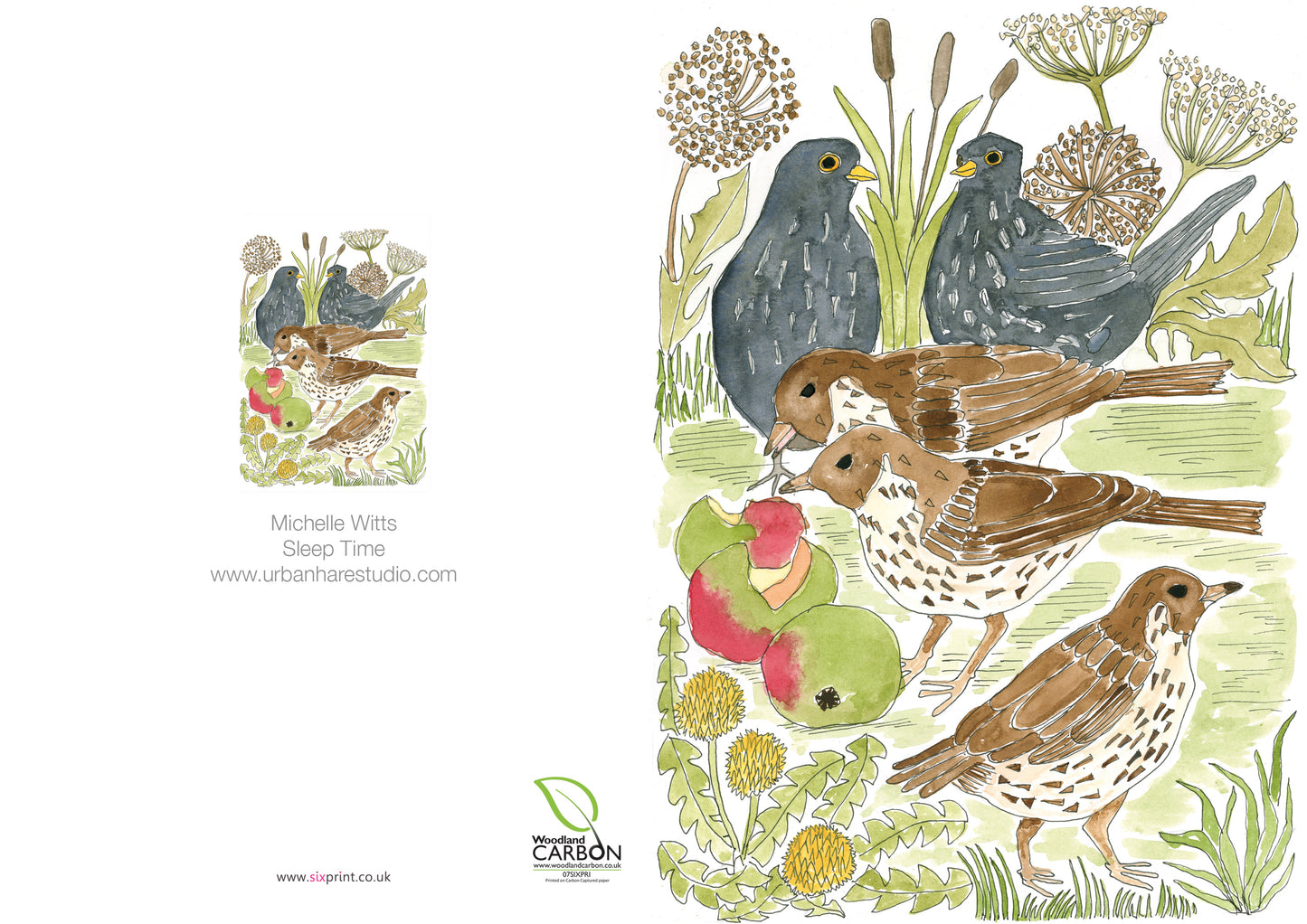 Greeting Cards - blank card with birds feasting